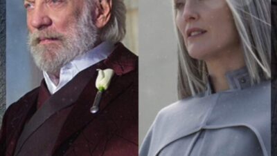 What is the difference between Snow and Coin?