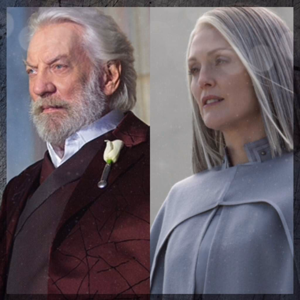 What is the difference between Snow and Coin?