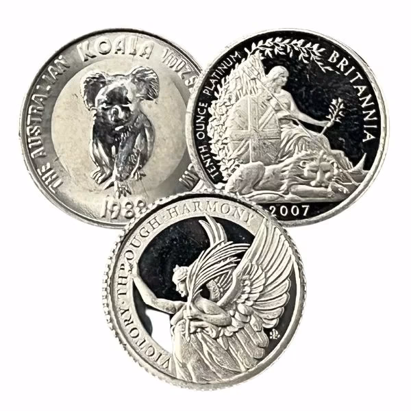 What is the zyn coin?