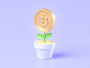 ¿Qué es un ecosistema de criptomonedas?