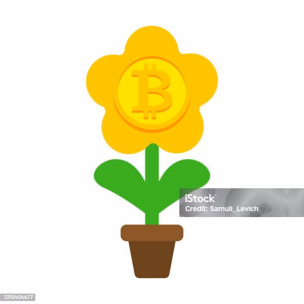 ¿Qué es un ecosistema de criptomonedas?