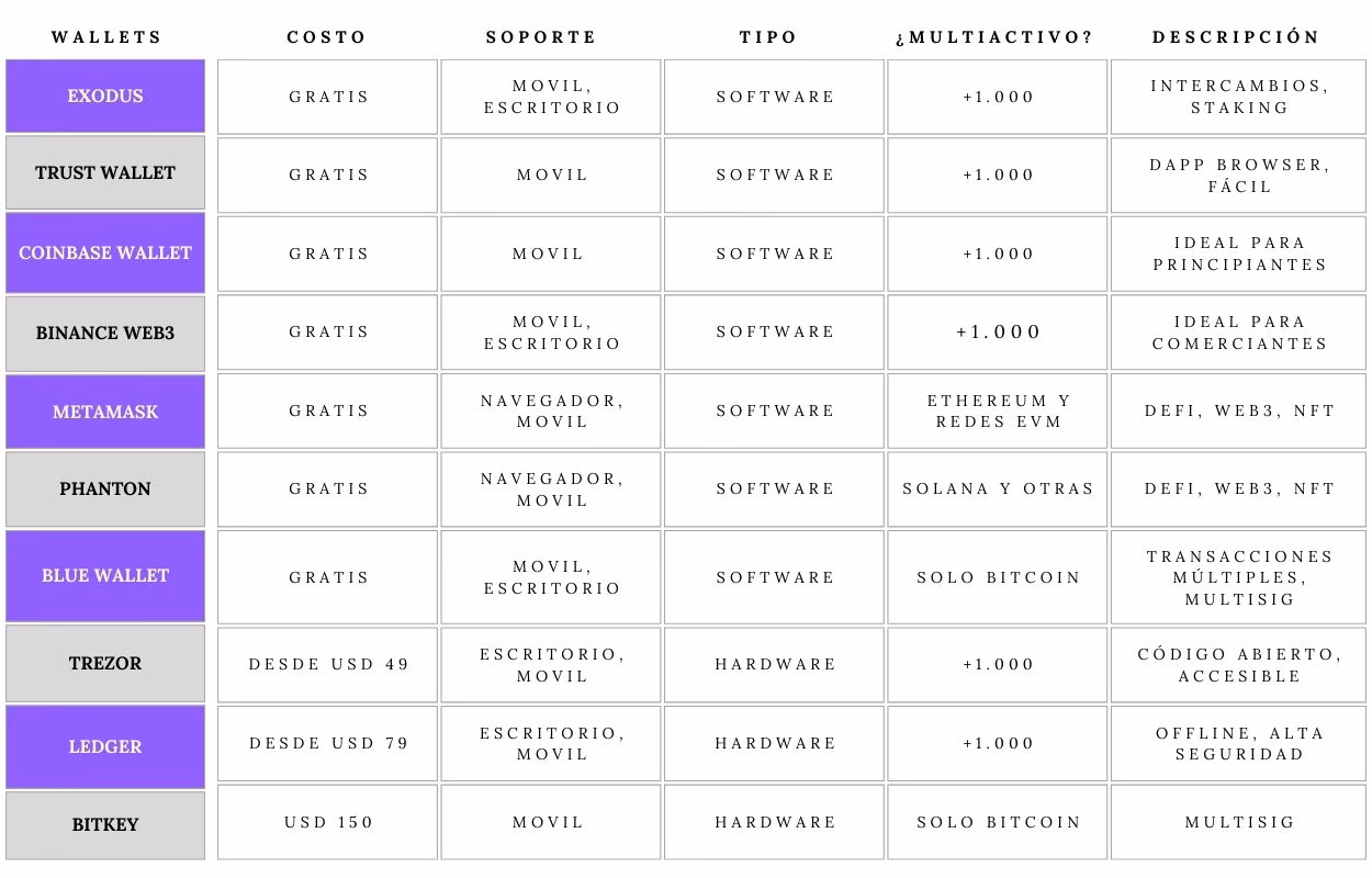 ¿Qué tipo de wallet es más segura?