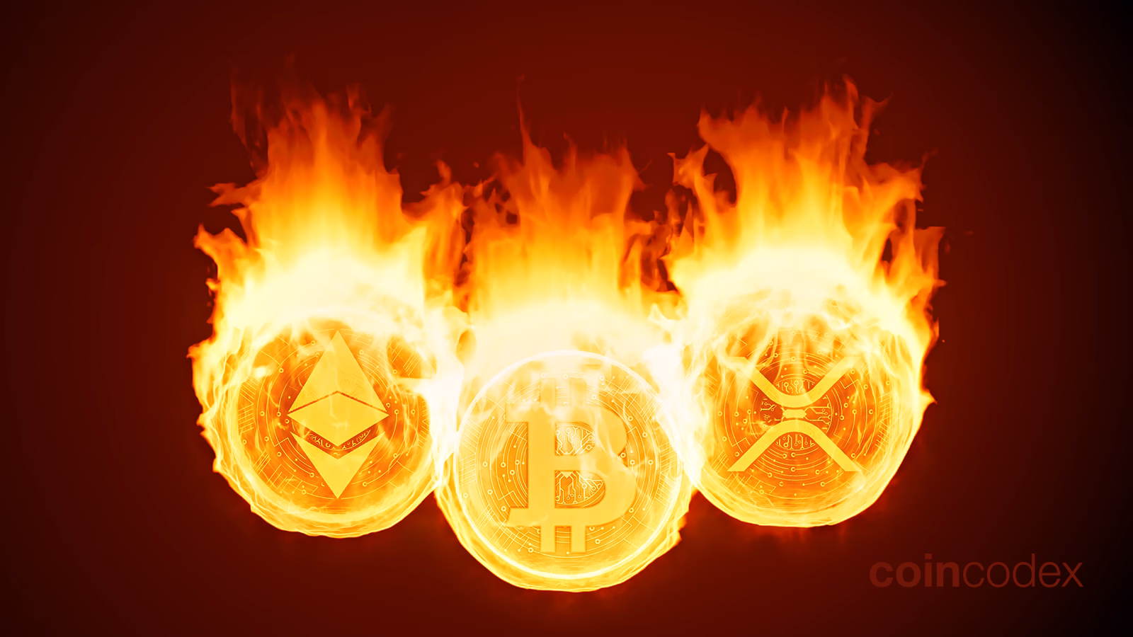 How many baby doge coins have been burned?