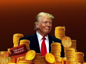 ¿Qué dijo Elon Musk sobre Bitcoin?