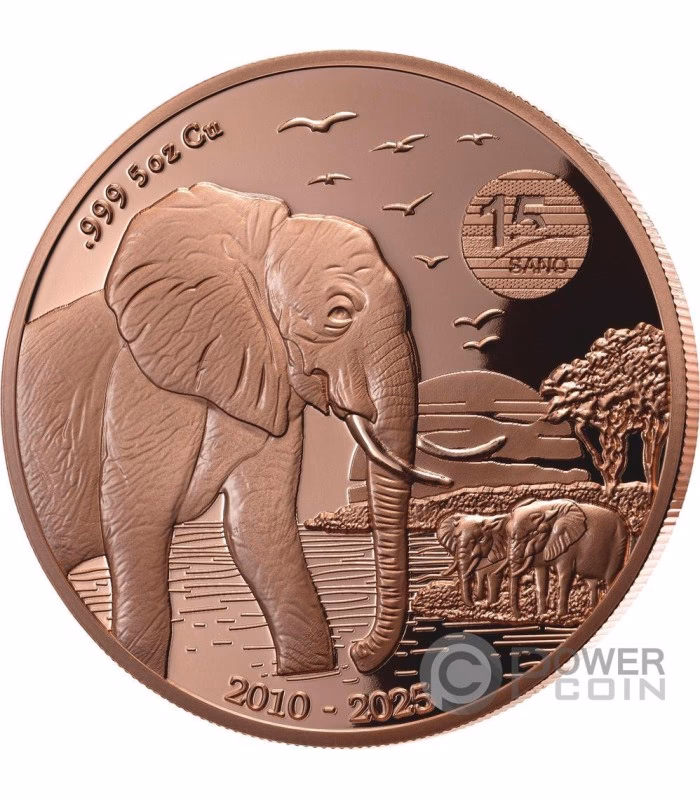 What is the ancient Indian elephant coin?