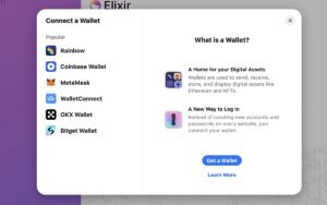 What is an elixir coin?