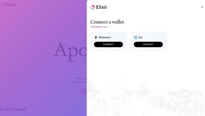 What is an elixir coin?