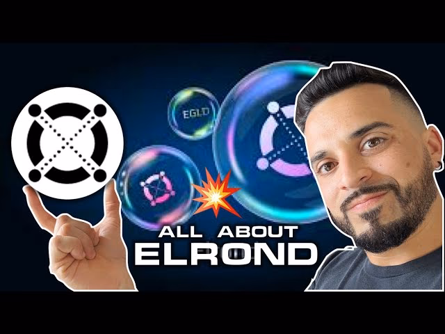 How high will EGLD go?