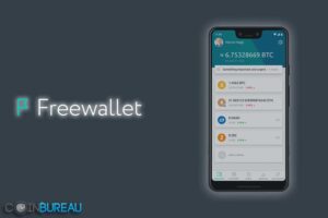 What type of wallet is freewallet?