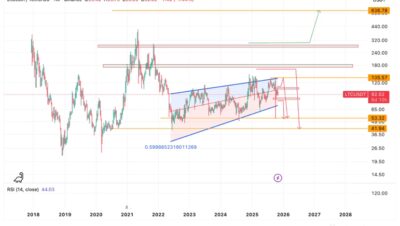 ¿Cuál es el máximo histórico de Litecoin?