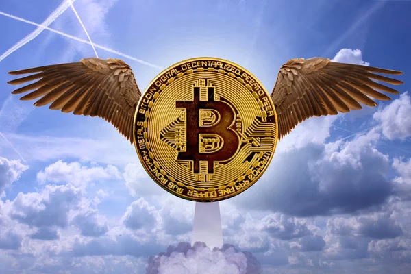What is $fly crypto?
