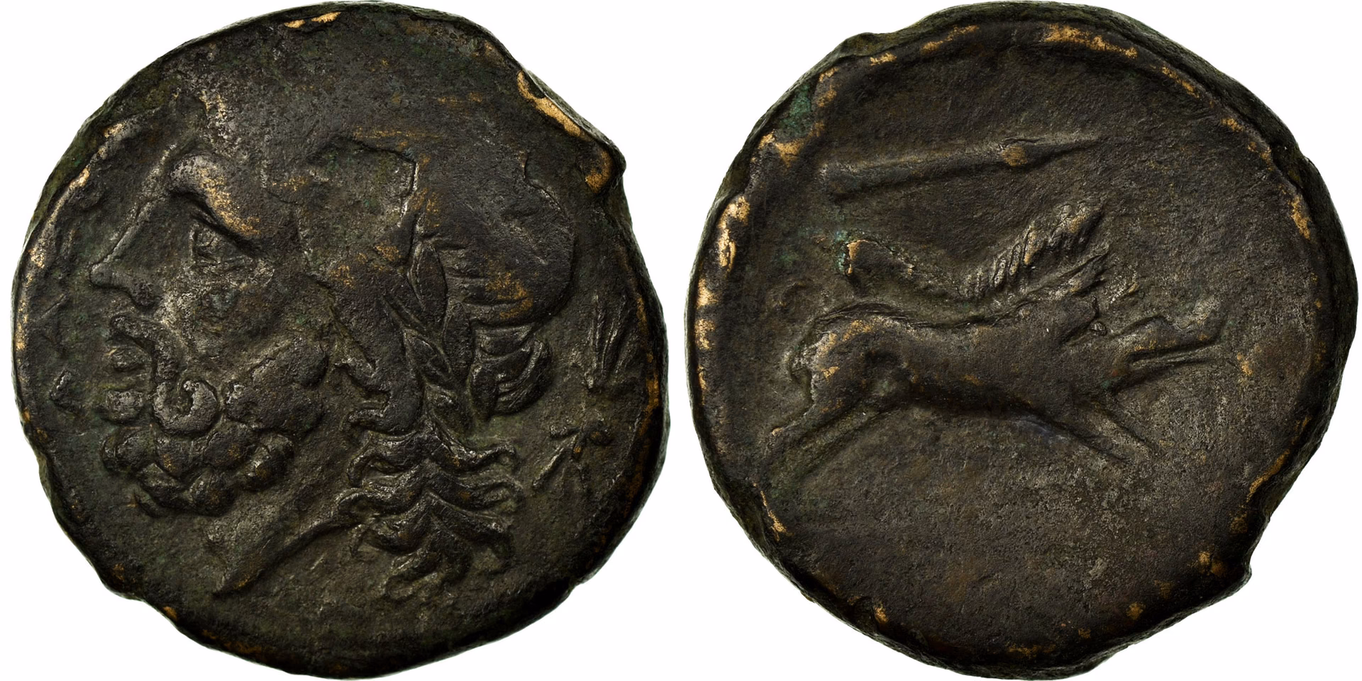 What is the Greek myth about the boar?