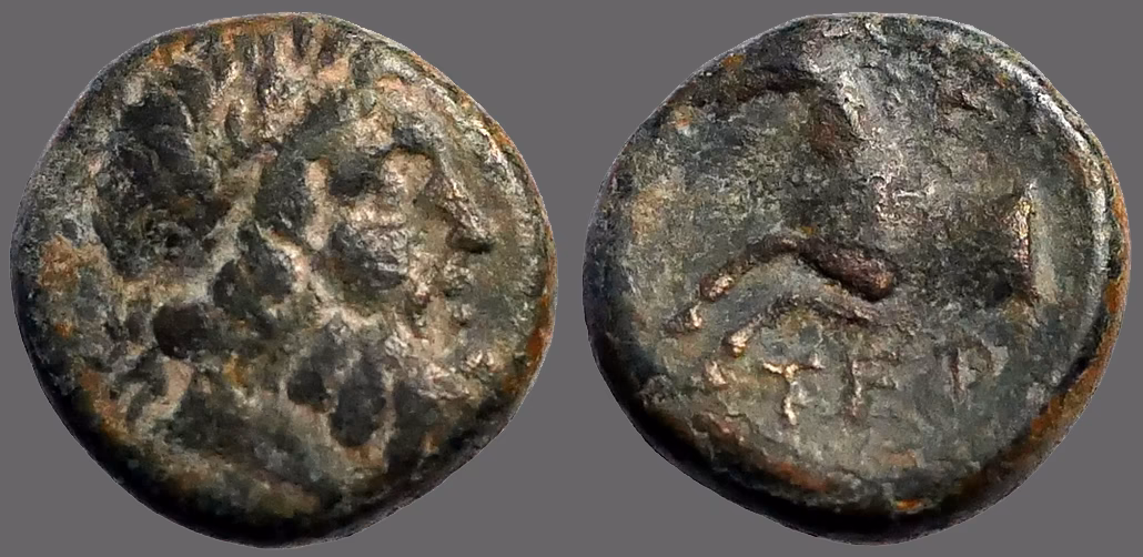 What animals were on ancient Greek coins?