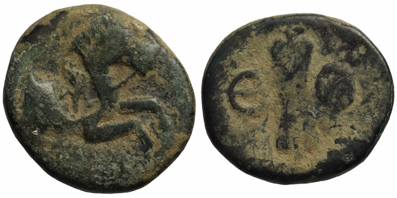 What animals were on ancient Greek coins?