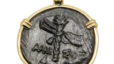 What is thyrsus used for?