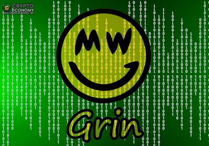 ¿Qué es Grin Crypto?