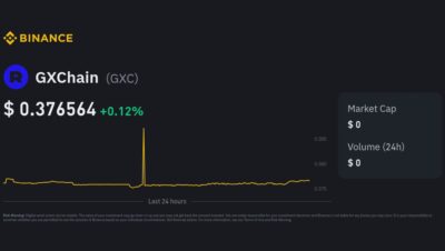 ¿Cuánto cuesta un token GX?
