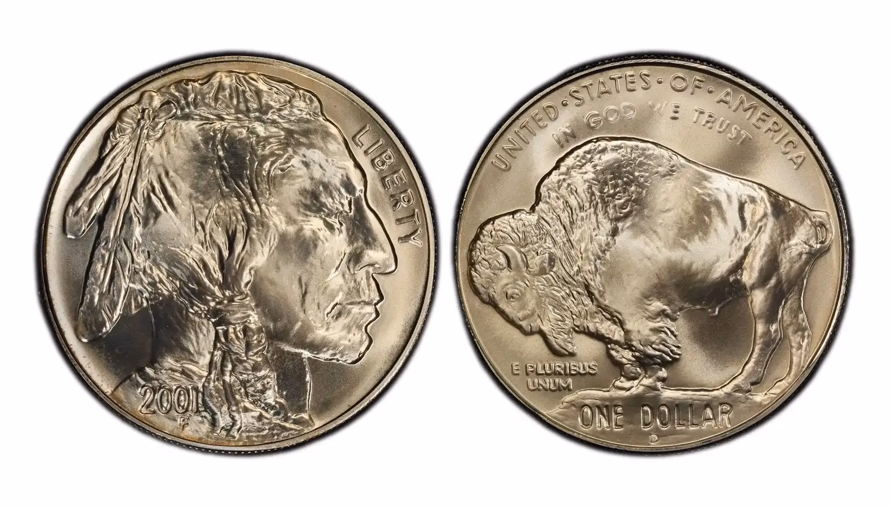 Where did Jamie Clark go to school?