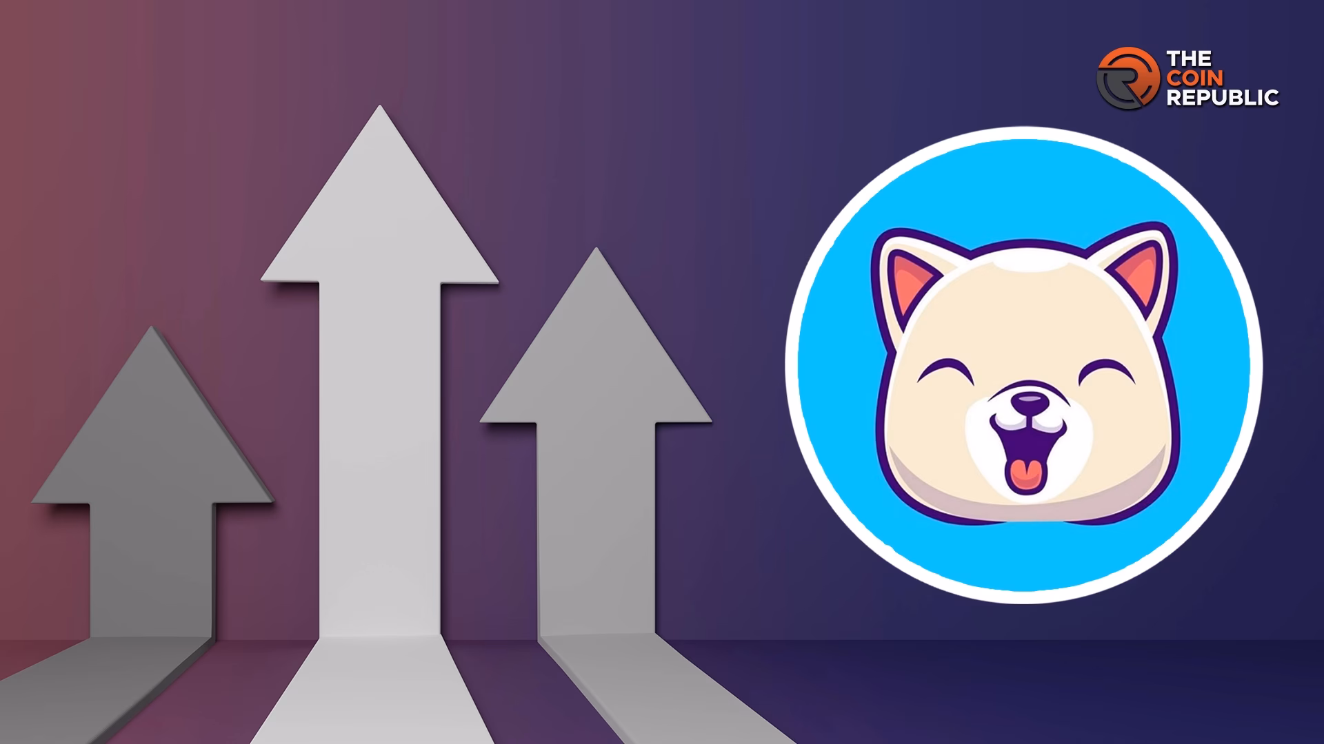 What happened to Kishu Inu today?