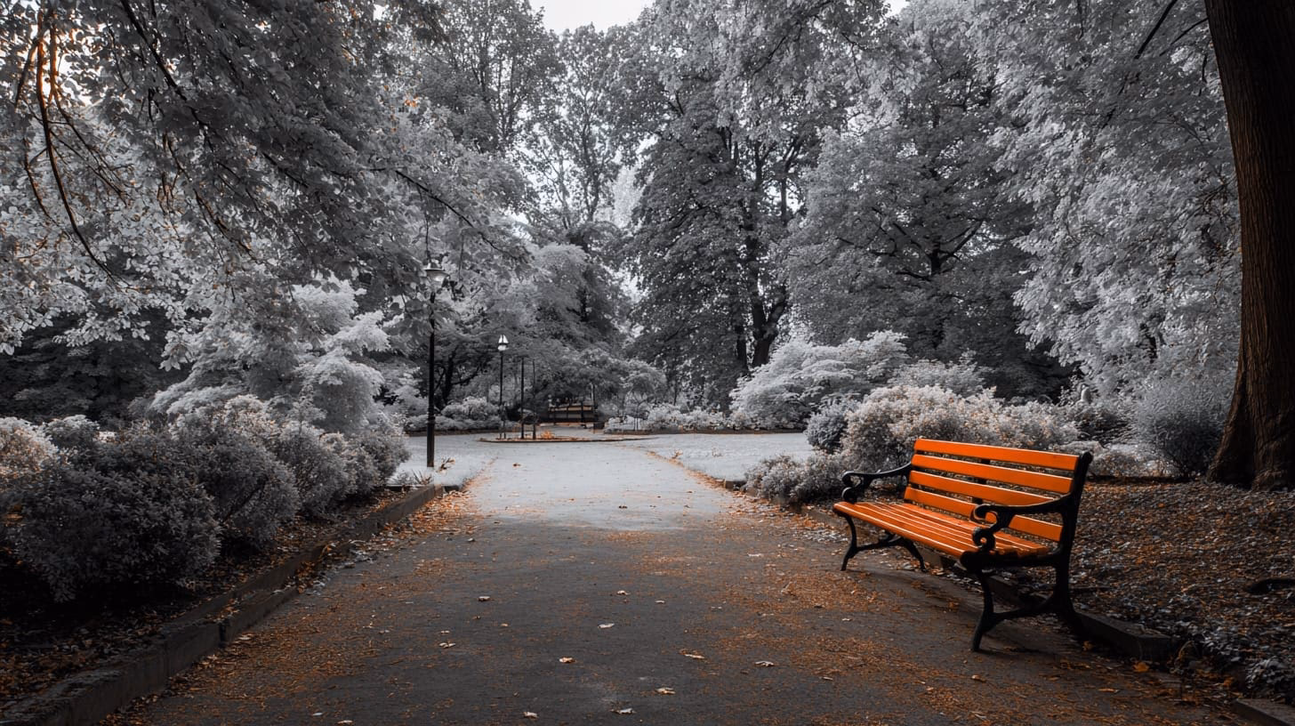 How much is the LabraCoin worth?