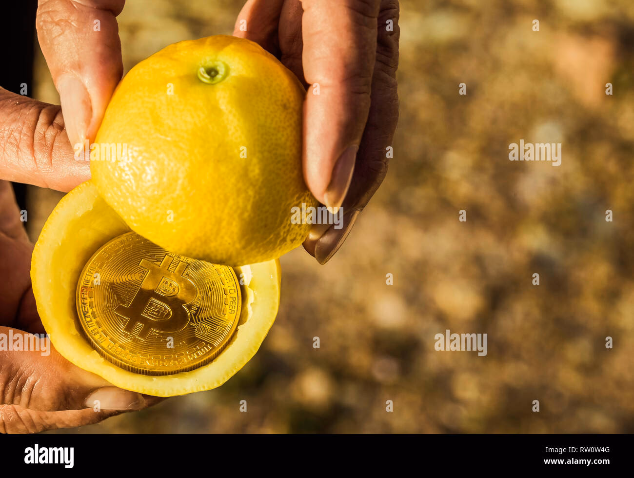 What is lemon crypto?