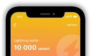 How do I get a Bitcoin Lightning wallet?