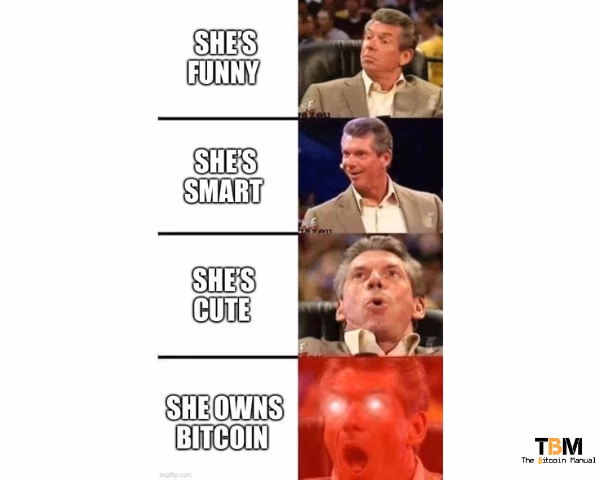 Why is the meme coin going down?