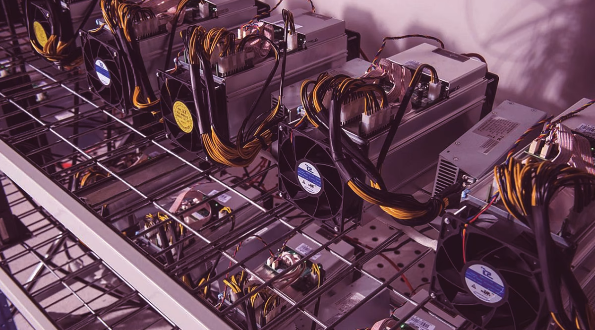 How much is block network coin worth?