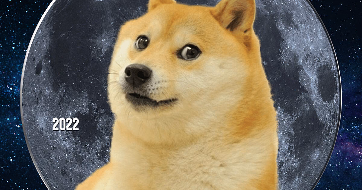 What does Dogecoin to the moon mean?