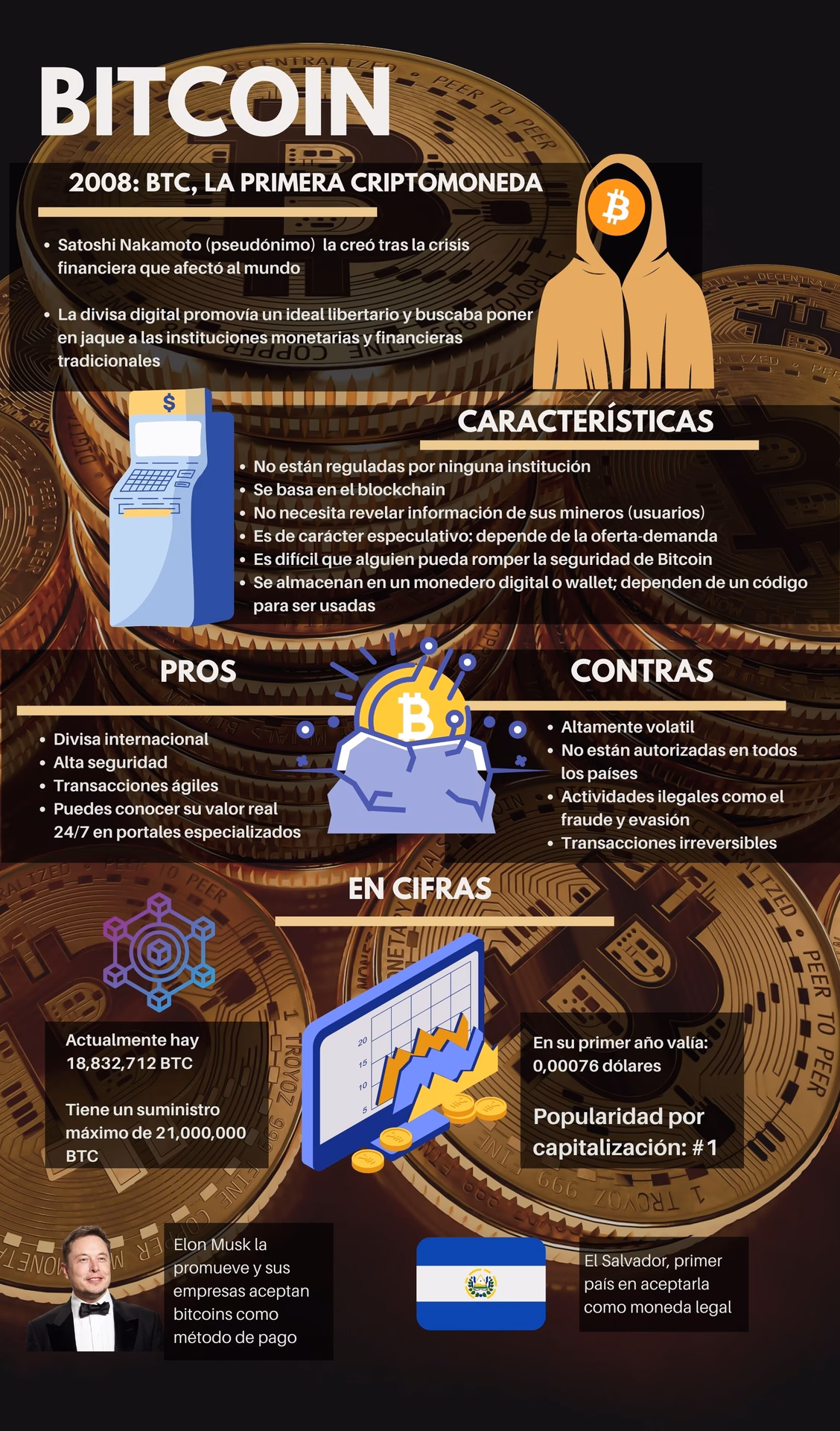 ¿Cuál es la criptomoneda que apoya Elon Musk?