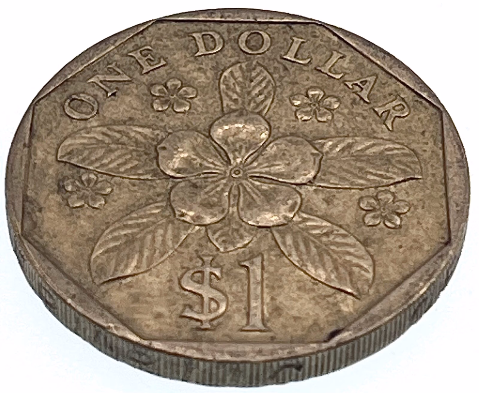 Are old Singapore coins still valid?