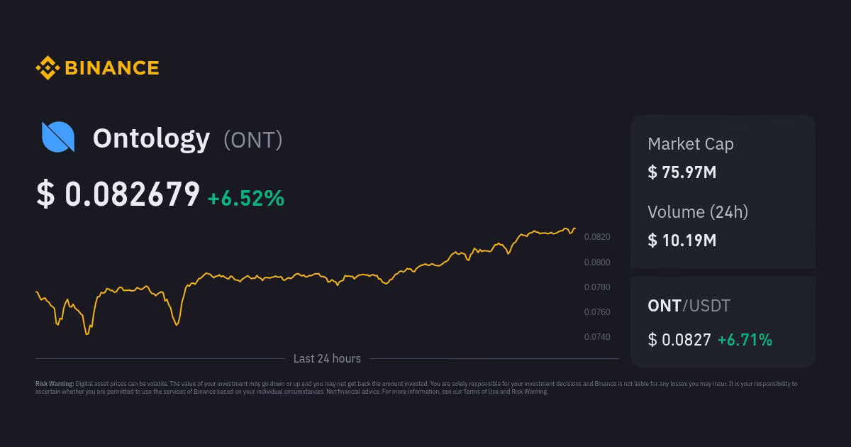 What is the ont coin?