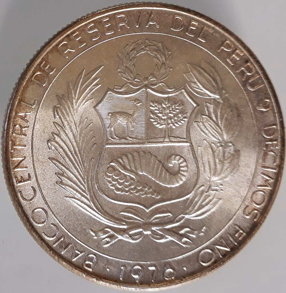 Is the panda token real?