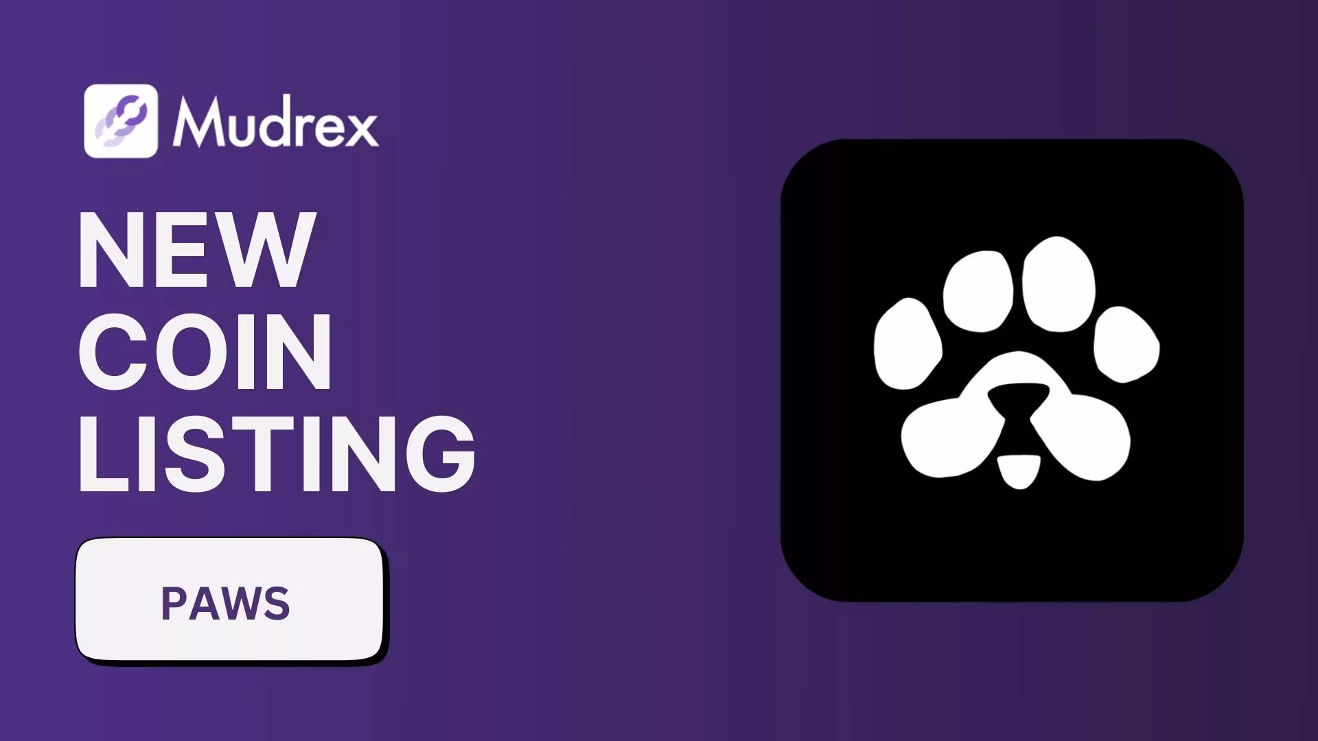 What is the value of 1 paws coin?