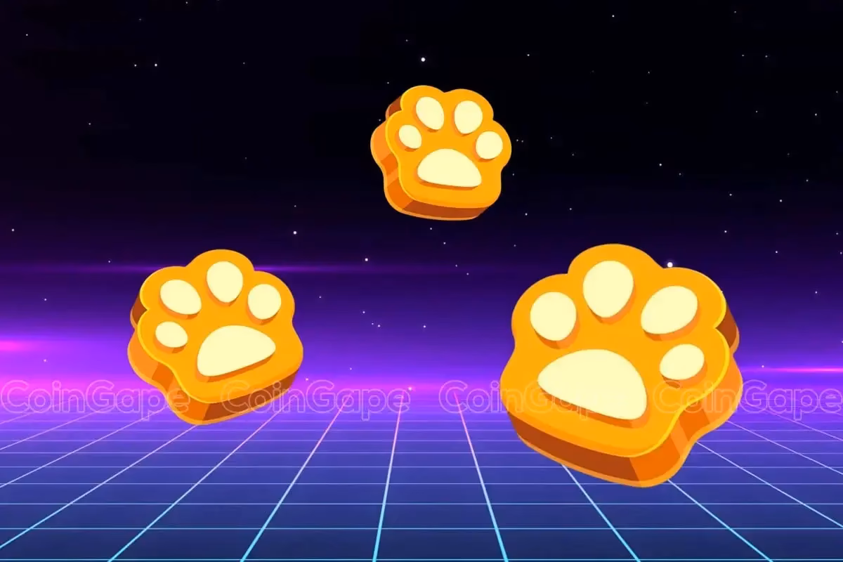 What is the value of 1 paws coin?