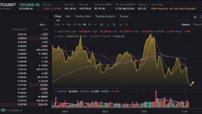 ¿Por qué cayó el bitcoin tan repentinamente?