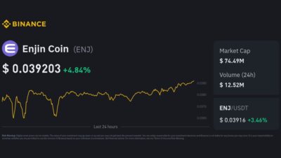 Does Enjin coin have a future?