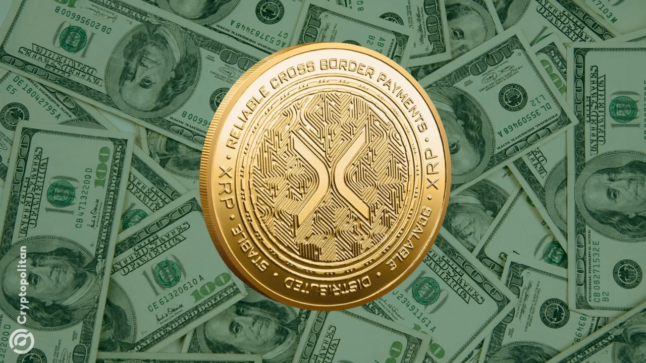 ¿Qué es Pulsechain?