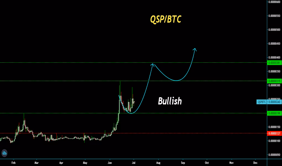 What is QSP crypto?