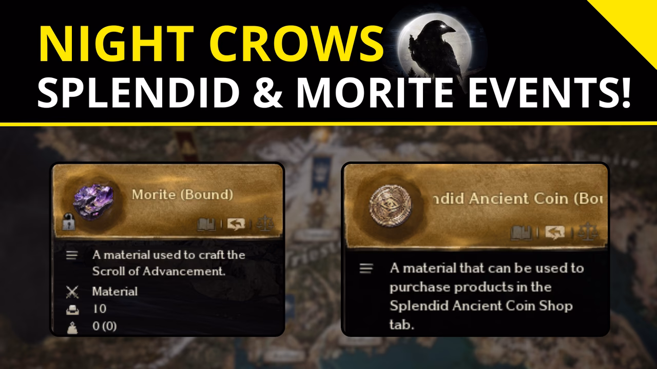 How many daily quests do you get per day?