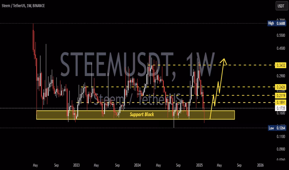 What is the steem coin?