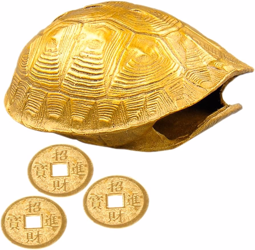 What is a turtle in Coin Magic?
