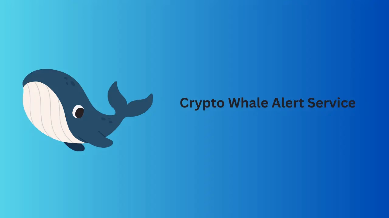 What triggers a whale alert?