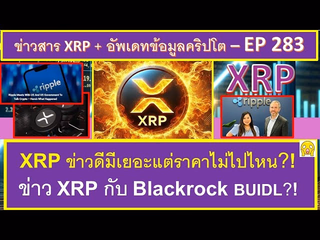 คริปโตตัวไหนน่าซื้อ 2025