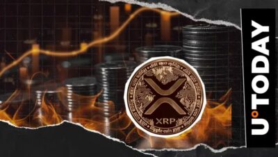 XRPの2030年の価格予想は？
