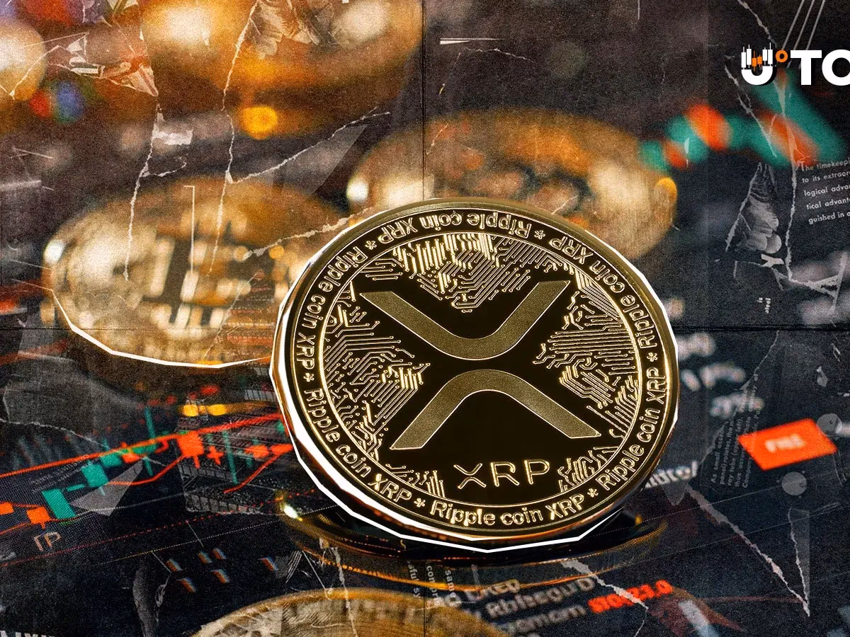 Does Verge Coin have a future?